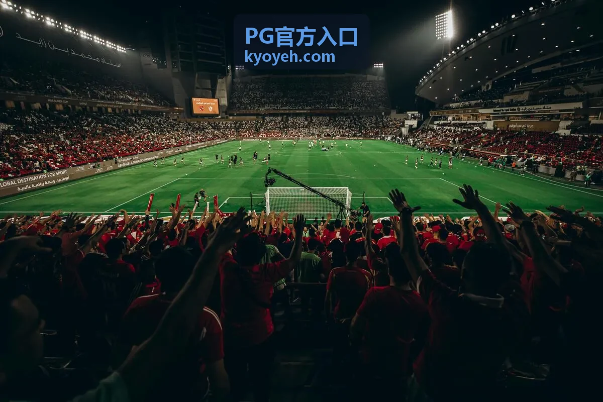 PG官方入口会员权益等级与专属内容示意