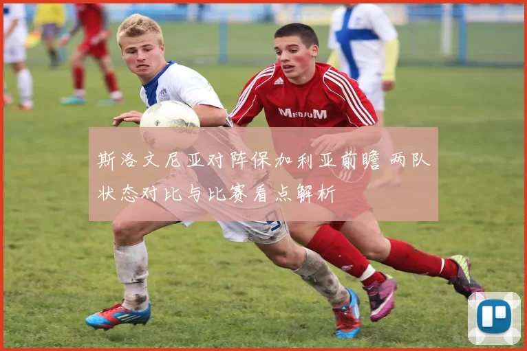 斯洛文尼亚对阵保加利亚前瞻 两队状态对比与比赛看点解析