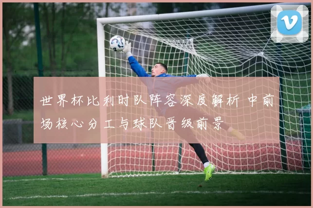 世界杯比利时队阵容深度解析 中前场核心分工与球队晋级前景