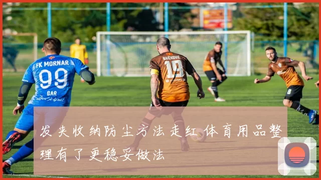 发夹收纳防尘方法走红 体育用品整理有了更稳妥做法