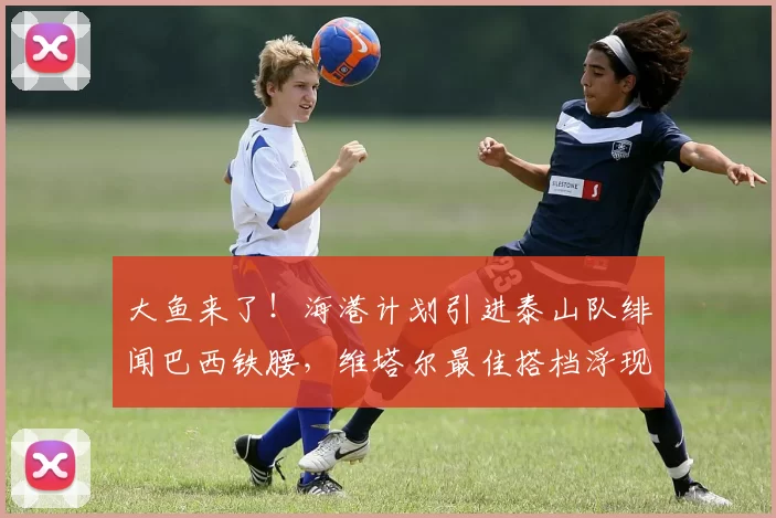 大鱼来了！海港计划引进泰山队绯闻巴西铁腰，维塔尔最佳搭档浮现