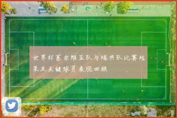 世界杯塞尔维亚队与瑞典队比赛结果及关键球员表现回顾